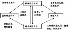 大病保险运行机制研究：基于国内外的经验(1)