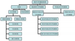 全国医疗卫生服务体系规划纲要发布